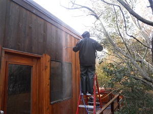 Cedar Treatment